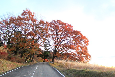 高原山20121116_006