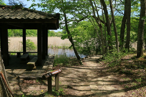 高原山山塊_2018.05.21_050