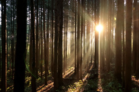 あさんぽ！（R07.04.29）