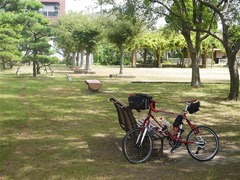s-P1070291