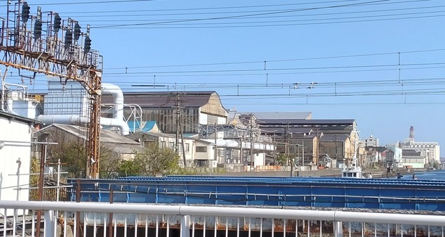 DSC_00000000