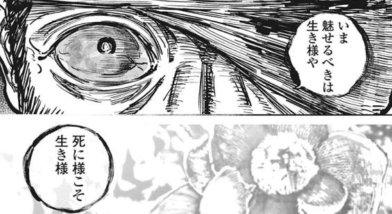 ガンニバル １２ 青年漫画 Maquillajeenoferta Com