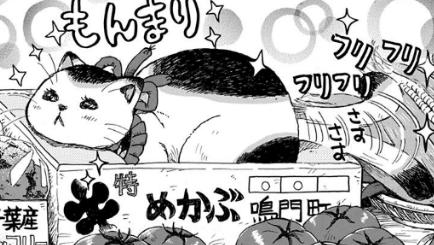 3月のライオン」14巻 感想 : まつもとたかひと