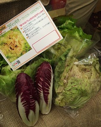 イタリア野菜3
