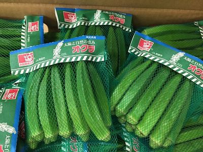 20150731_052416296_iOS