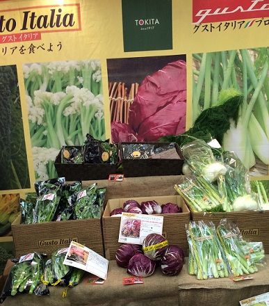 イタリア野菜2
