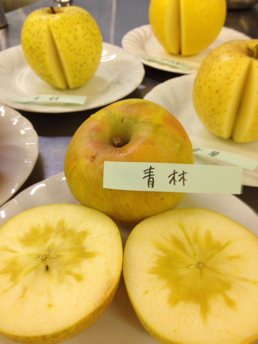 糖度18度 幻のりんご 青林 は岩手生まれ まつのblog We Like Vegetables