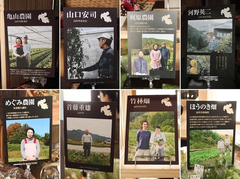 IMG_0906_02-horz-vert