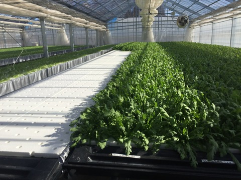 01fe2e918cfc2dff4b660f10f4b8f4fc47bca43aaf