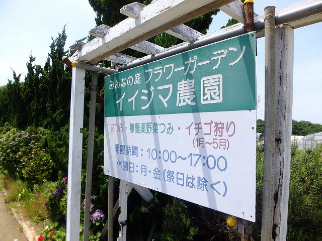 海の見える丘で育ったメロンとの出会い まつのblog We Like Vegetables 海の見える丘で育ったメロンとの出会い まつのblog We Like Vegetables
