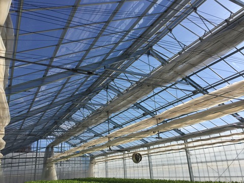 01bd873c33110ed96dc7561a50788b9ff368308c75