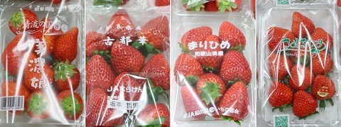 まつのベジフルサポーター全国研修会