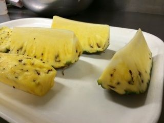 パイン ブログ用②