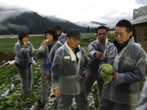 長野県川上村レタス