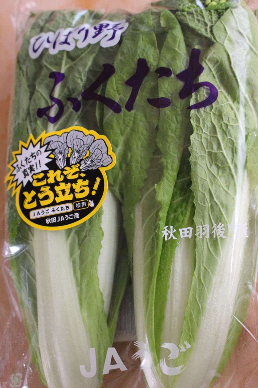 秋田の春を告げる 幻の野菜 ふくたち まつのblog We Like Vegetables