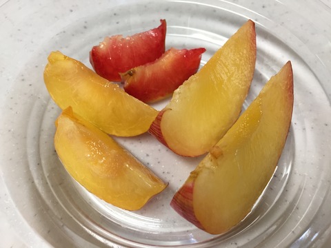 スモモ食べ比べ