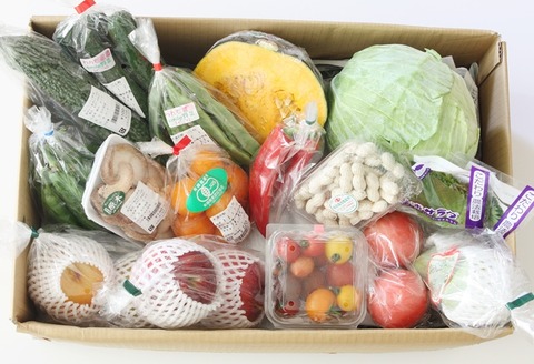 幸せ野菜ボックス_0901_01