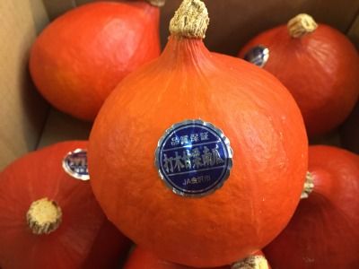 毎週更新 商品情報 まつのblog We Like Vegetables 毎週更新 商品情報 まつのblog We Like Vegetables