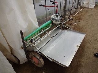 DSC00302