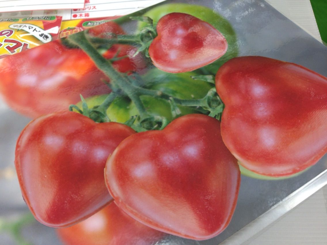 農薬不使用 野菜 (ミニトマト・ピーマン他) カラフル 星型ハート型  