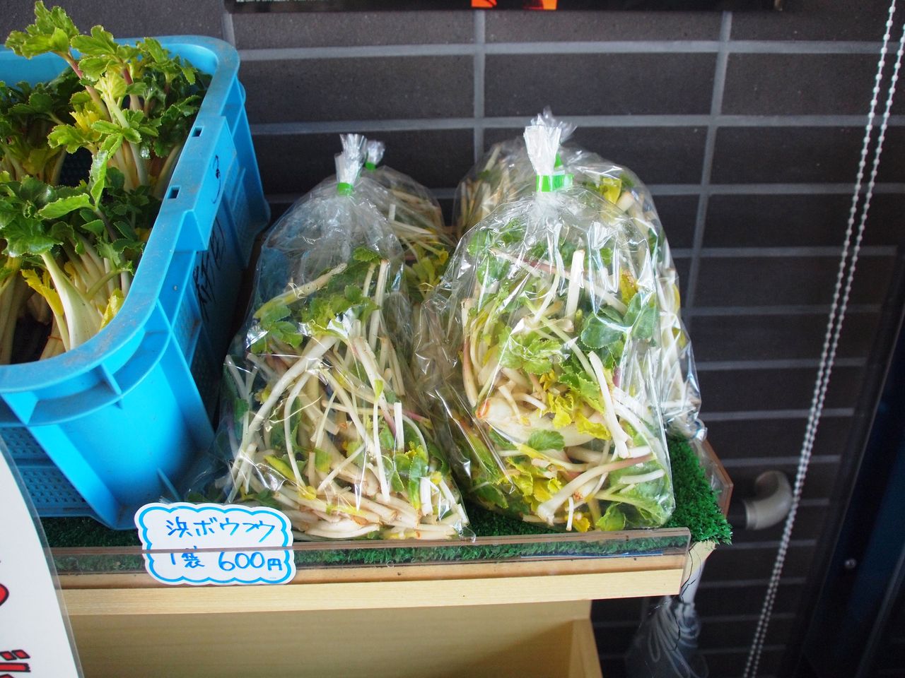 北海道 海浜育ちのなつかしの味 ハマボウフウ まつのblog We Like Vegetables 北海道 海浜育ちのなつかしの味 ハマボウフウ まつのblog We Like Vegetables