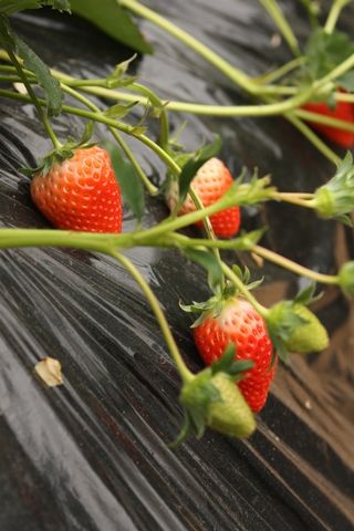 IMG_0710_02