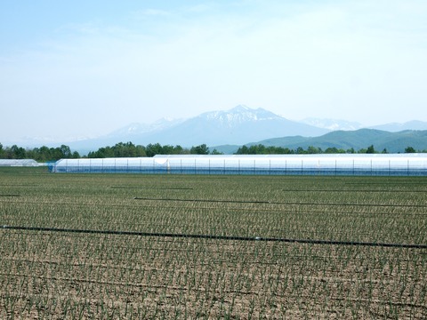 コピー ~ P5236125