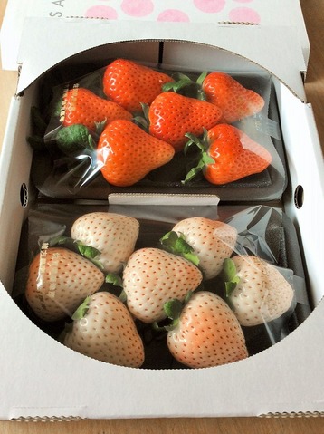 いちごギフト