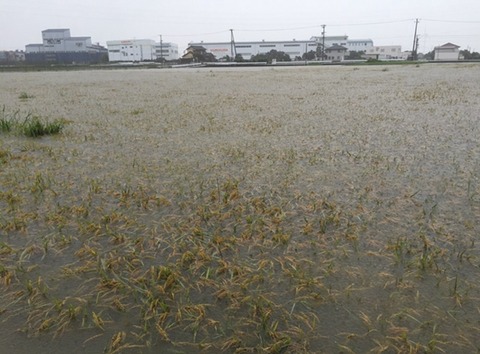 関東甲信越大雨