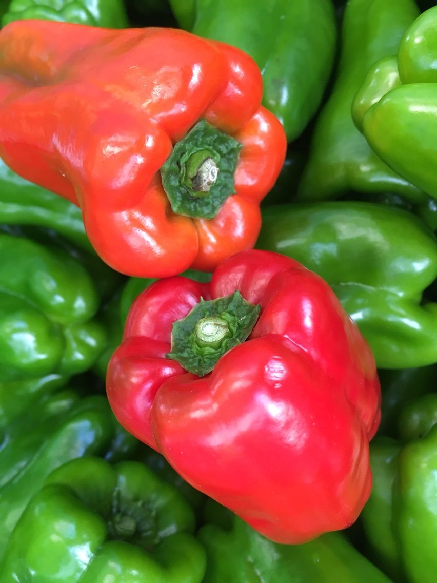 岩手県 抜群の栄養価 赤いピーマンを使って まつのblog We Like Vegetables
