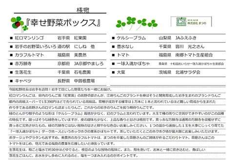 幸せ野菜ボックス_0901_11