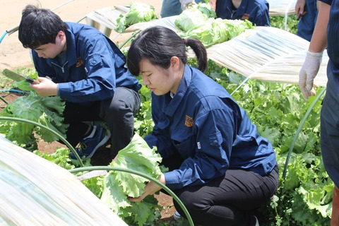 新入社員産地研修_06