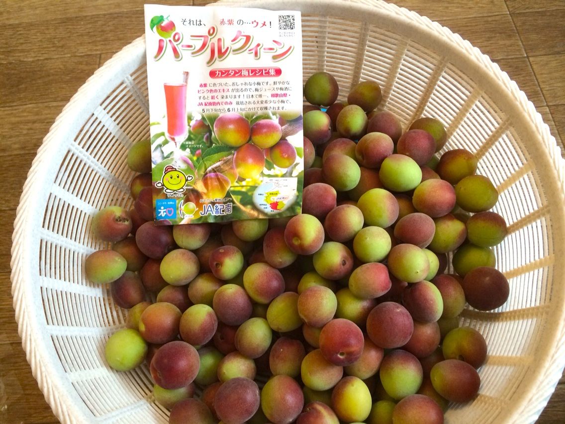 私の元気の源 今年も梅ジュースを楽しみます まつのblog We Like Vegetables 私の元気の源 今年も梅ジュースを楽しみます まつのblog We Like Vegetables