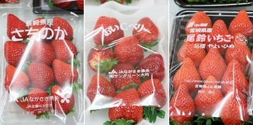 まつのベジフルサポーター全国研修会