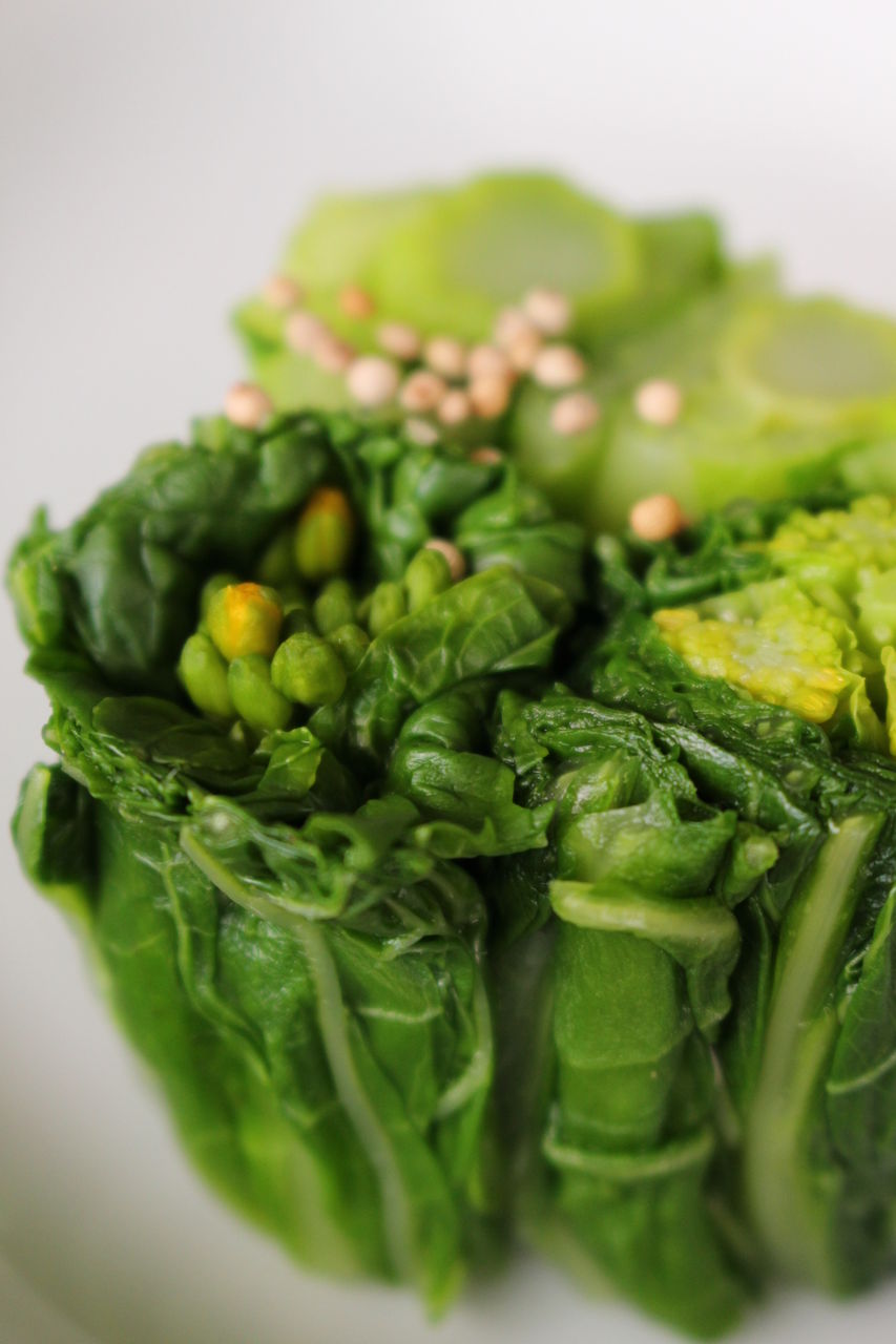 秋田の春を告げる 幻の野菜 ふくたち まつのblog We Like Vegetables