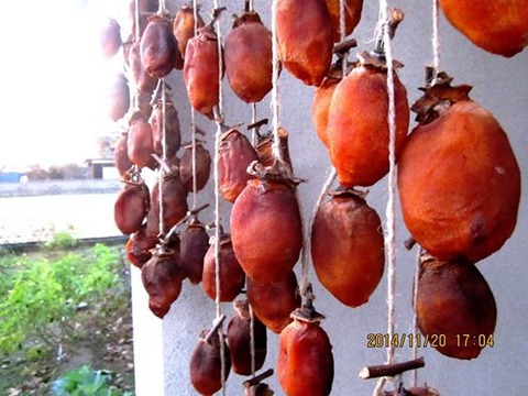 150149_729095980506001_5894579185883546675_n[1]