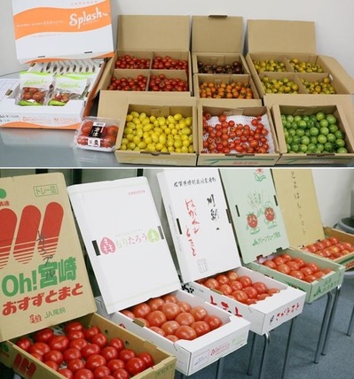 まつのベジフルサポーター全国研修会