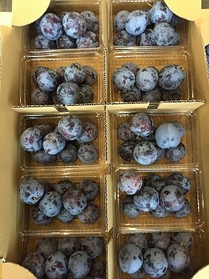 20150730_225348749_iOS