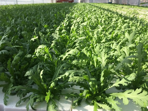 01e820521b78a83580af858d851ae4e61efed76c8c