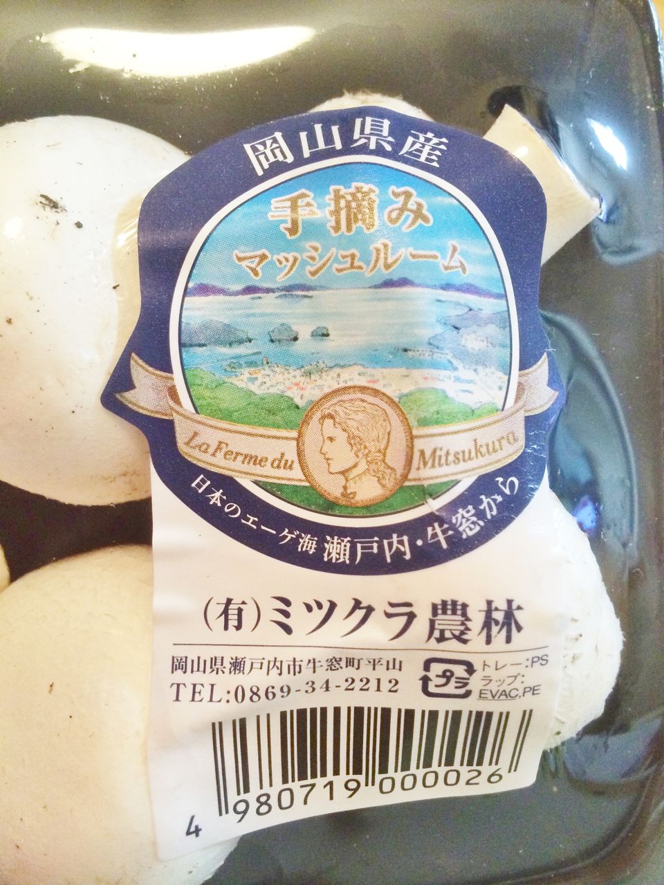 マッシュルーム３つ Amazon.co.jp: 45GR / 1.5 (OZ) ホワイトボタンマッシュルーム