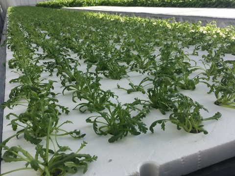 01a8c2b854e681bd704d3a97467ab6827ca36379ba