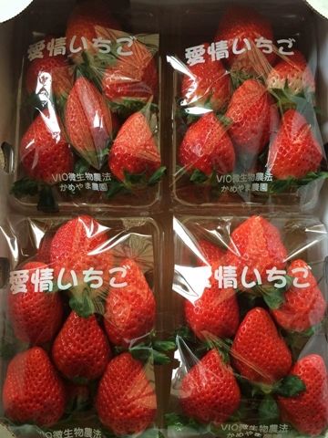 かめやま農園_02