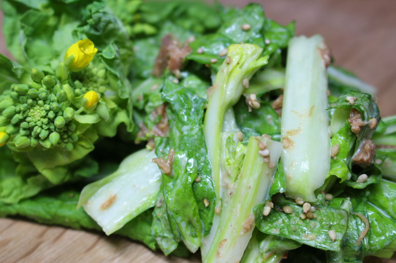 秋田の春を告げる 幻の野菜 ふくたち まつのblog We Like Vegetables