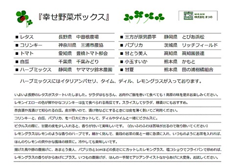 幸せ野菜ボックス08