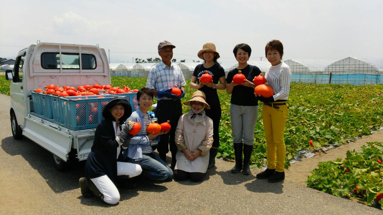 今が最盛期 加賀野菜 打木赤皮甘栗かぼちゃ まつのblog We Like Vegetables 今が最盛期 加賀野菜 打木赤皮甘栗かぼちゃ まつのblog We Like Vegetables