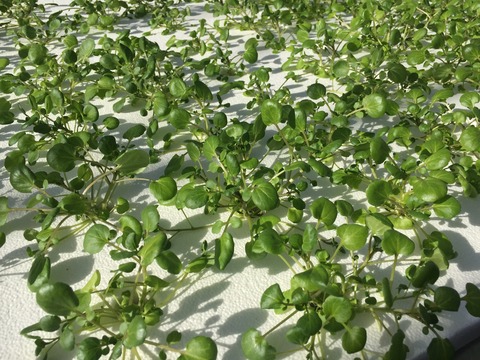 01df4824c8663f0c2eaad769d6df59b6a40dca5d79