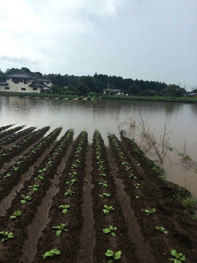 関東甲信越大雨
