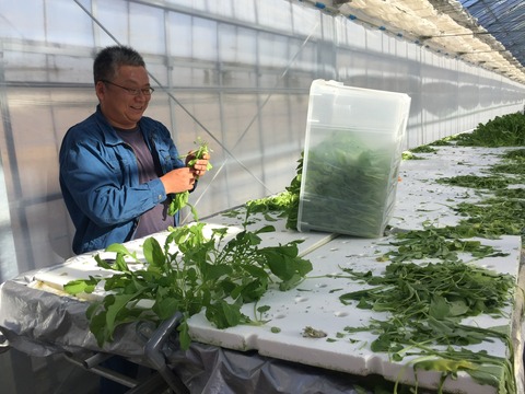 01768aeec02c856c180cea2170cea10986f6c8c4b4