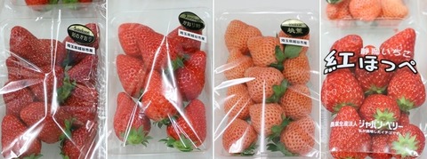 まつのベジフルサポーター全国研修会