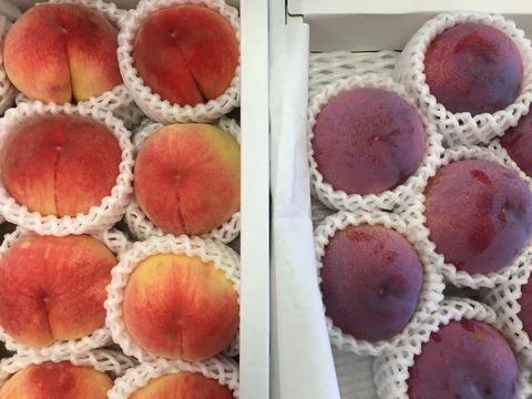 桃と貴陽